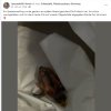 Update 06.08.2026 Notfälle