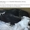 Update 06.08.2026 Notfälle