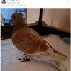 Update 06.08.2026 Notfälle