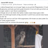 Update 17.02.2026
