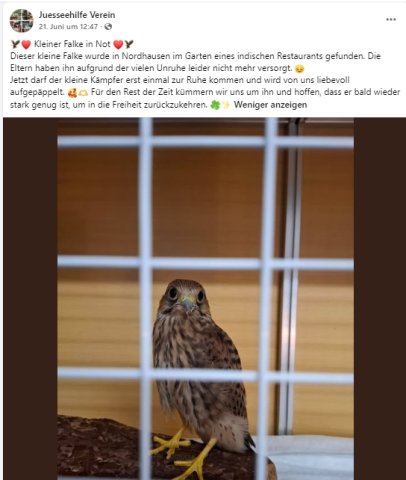 https://juesseehilfe.de/images/phocagallery/andere_einsaetze/2026/juli/thumbs/phoca_thumb_l_20.jpg