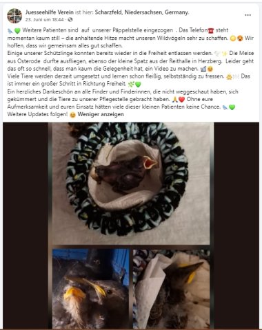 https://juesseehilfe.de/images/phocagallery/andere_einsaetze/2026/juli/thumbs/phoca_thumb_l_20.jpg