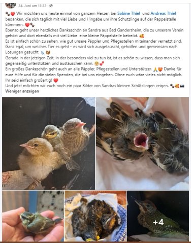 https://juesseehilfe.de/images/phocagallery/andere_einsaetze/2026/juli/thumbs/phoca_thumb_l_20.jpg