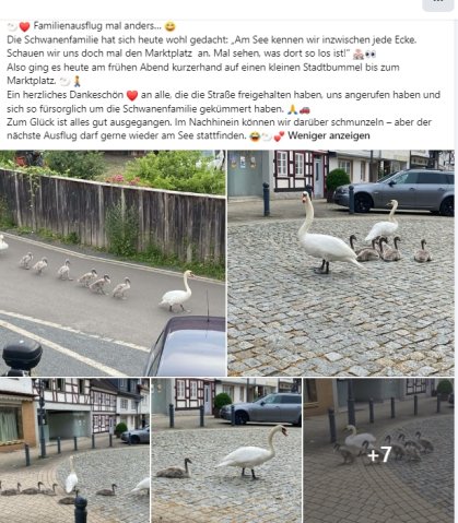 https://juesseehilfe.de/images/phocagallery/andere_einsaetze/2026/juli/thumbs/phoca_thumb_l_20.jpg