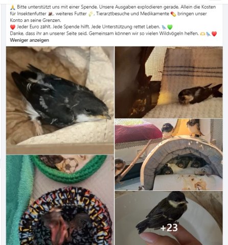https://juesseehilfe.de/images/phocagallery/andere_einsaetze/2026/juli/thumbs/phoca_thumb_l_20.jpg