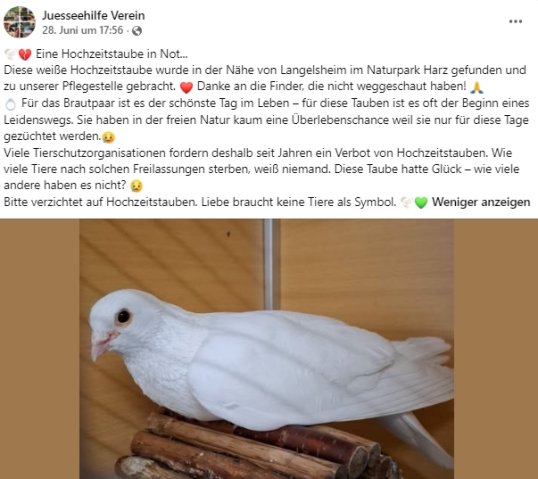 https://juesseehilfe.de/images/phocagallery/andere_einsaetze/2026/juli/thumbs/phoca_thumb_l_20.jpg
