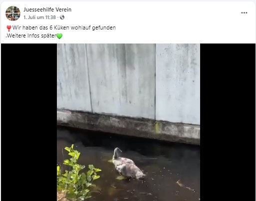 https://juesseehilfe.de/images/phocagallery/andere_einsaetze/2026/juli/thumbs/phoca_thumb_l_20.jpg