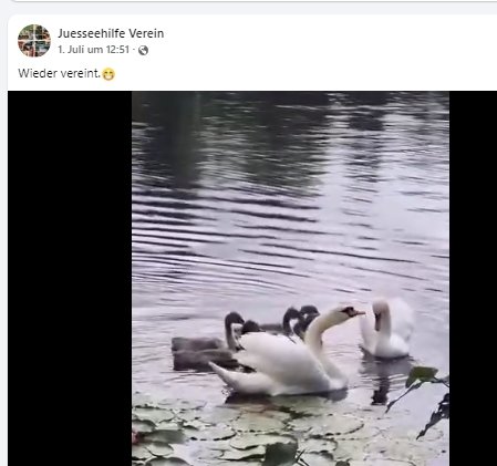 https://juesseehilfe.de/images/phocagallery/andere_einsaetze/2026/juli/thumbs/phoca_thumb_l_20.jpg