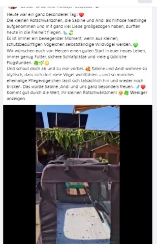 https://juesseehilfe.de/images/phocagallery/andere_einsaetze/2026/juli/thumbs/phoca_thumb_l_20.jpg