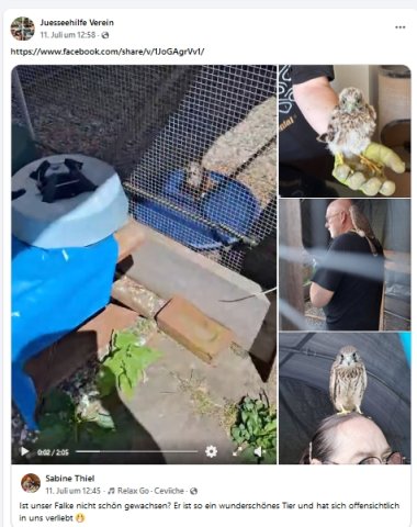 https://juesseehilfe.de/images/phocagallery/andere_einsaetze/2026/juli/thumbs/phoca_thumb_l_20.jpg