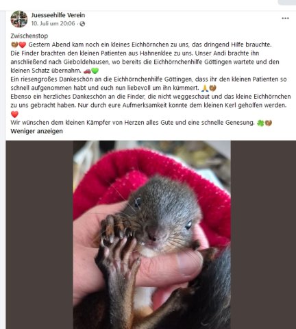 https://juesseehilfe.de/images/phocagallery/andere_einsaetze/2026/juli/thumbs/phoca_thumb_l_20.jpg