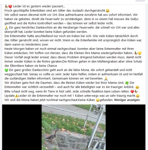 https://juesseehilfe.de/images/phocagallery/andere_einsaetze/2026/juli/thumbs/phoca_thumb_l_20.jpg