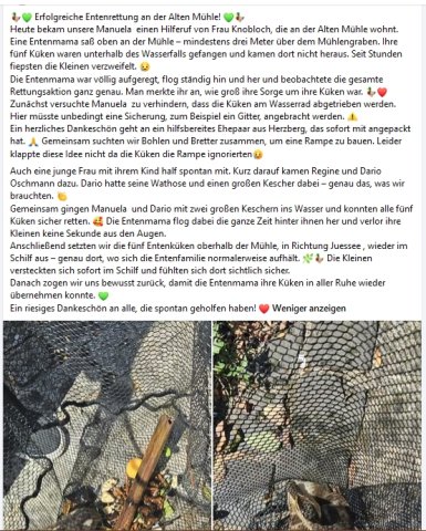 https://juesseehilfe.de/images/phocagallery/andere_einsaetze/2026/juli/thumbs/phoca_thumb_l_20.jpg