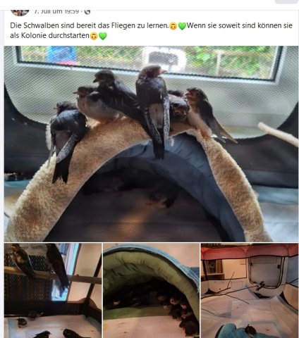 https://juesseehilfe.de/images/phocagallery/andere_einsaetze/2026/juli/thumbs/phoca_thumb_l_20.jpg