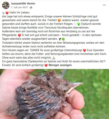 https://juesseehilfe.de/images/phocagallery/andere_einsaetze/2026/juli/thumbs/phoca_thumb_l_20.jpg