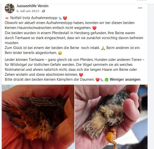 https://juesseehilfe.de/images/phocagallery/andere_einsaetze/2026/juli/thumbs/phoca_thumb_l_20.jpg