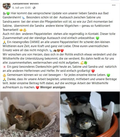 https://juesseehilfe.de/images/phocagallery/andere_einsaetze/2026/juli/thumbs/phoca_thumb_l_20.jpg
