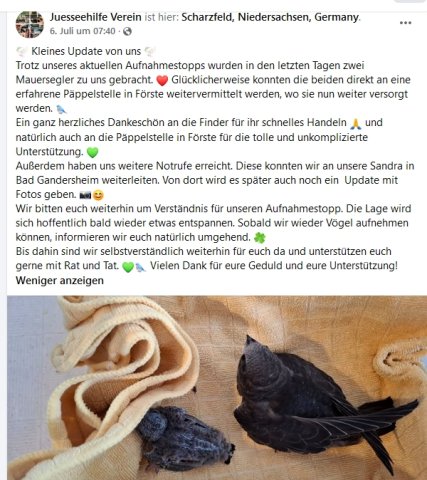 https://juesseehilfe.de/images/phocagallery/andere_einsaetze/2026/juli/thumbs/phoca_thumb_l_20.jpg