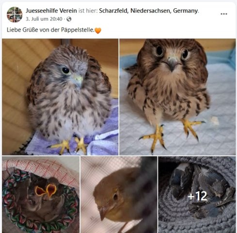https://juesseehilfe.de/images/phocagallery/andere_einsaetze/2026/juli/thumbs/phoca_thumb_l_20.jpg