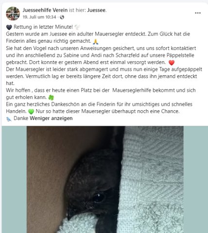 https://juesseehilfe.de/images/phocagallery/andere_einsaetze/2026/juli/thumbs/phoca_thumb_l_20.jpg