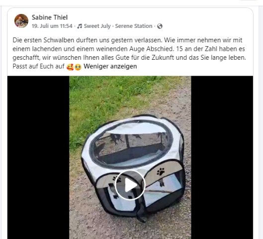 https://juesseehilfe.de/images/phocagallery/andere_einsaetze/2026/juli/thumbs/phoca_thumb_l_20.jpg