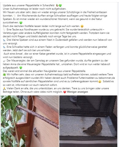 https://juesseehilfe.de/images/phocagallery/andere_einsaetze/2026/juli/thumbs/phoca_thumb_l_20.jpg