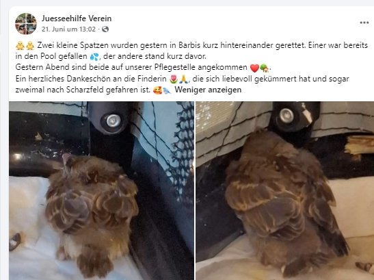 https://juesseehilfe.de/images/phocagallery/andere_einsaetze/2026/juli/thumbs/phoca_thumb_l_20.jpg