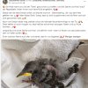 Notfälle Juli 03.07. Update