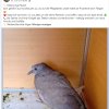 Notfälle Juli 03.07. Update