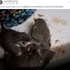 Notfälle Juli 03.07. Update