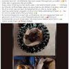 Notfälle Juli 03.07. Update
