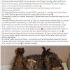 Notfälle Juli 03.07. Update