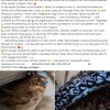 Notfälle Juli 03.07. Update