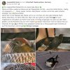 Notfälle Juli 03.07. Update