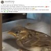 Notfälle Juli 03.07. Update
