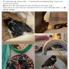 Notfälle Juli 03.07. Update