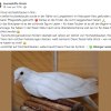 Notfälle Juli 03.07. Update