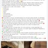 Notfälle Juli 03.07. Update