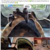 Notfälle Update 17.07.2026