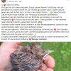 Notfälle Update 17.07.2026