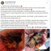 Notfälle Update 17.07.2026