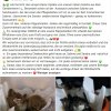 Notfälle Update 17.07.2026