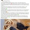 Notfälle Update 17.07.2026