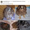 Notfälle Update 17.07.2026