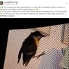 Notfälle Juli 03.07. Update