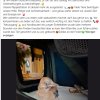 Update 15.06. Notfälle