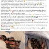 Update 15.06. Notfälle