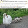 Update 15.06. Notfälle