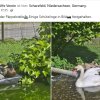 Update 15.06. Notfälle