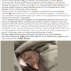 Update 15.06. Notfälle